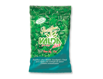 Pastilha-Valda-Diet-12g