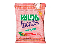 Valda-Friends-Canela-Sem-Acucar-com-25g