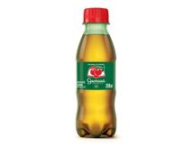 GUARANA-ANTARCTICA-PET-2OOML