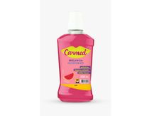 ENX-BUCAL-CARMED-MELANCIA-250ML